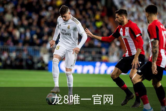 龙8唯一官网